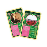 Wicked Top Trumps Card Game